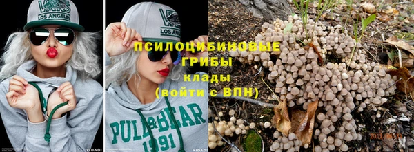 ГАЛЛЮЦИНОГЕННЫЕ ГРИБЫ Бородино