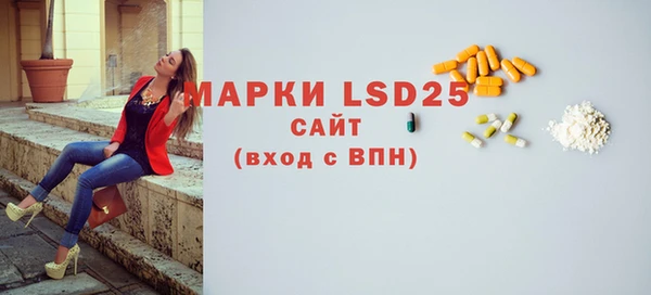 ГАЛЛЮЦИНОГЕННЫЕ ГРИБЫ Бородино