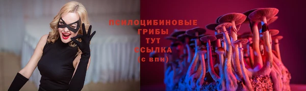 прущие крисы Бронницы