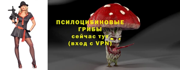 mdpv Бугульма