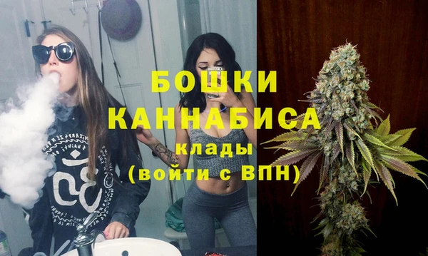 ГАЛЛЮЦИНОГЕННЫЕ ГРИБЫ Бородино