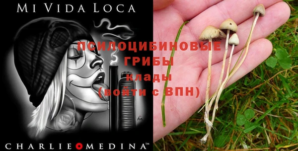 прущие крисы Бронницы