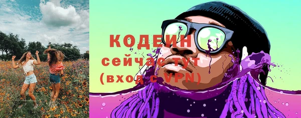 ГАЛЛЮЦИНОГЕННЫЕ ГРИБЫ Бородино