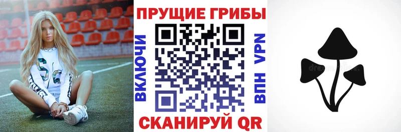 Галлюциногенные грибы GOLDEN TEACHER  закладки  Касли 